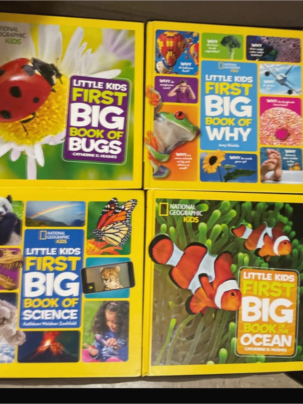National Geographic Little Kids First Big Book of Bugs - science- why and ocean